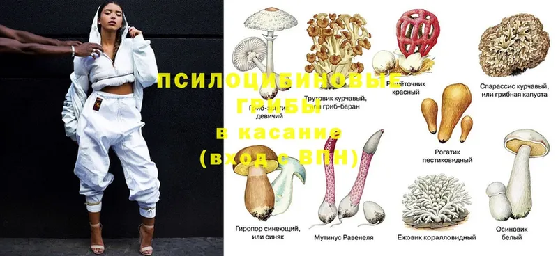 Галлюциногенные грибы мухоморы  Великие Луки 